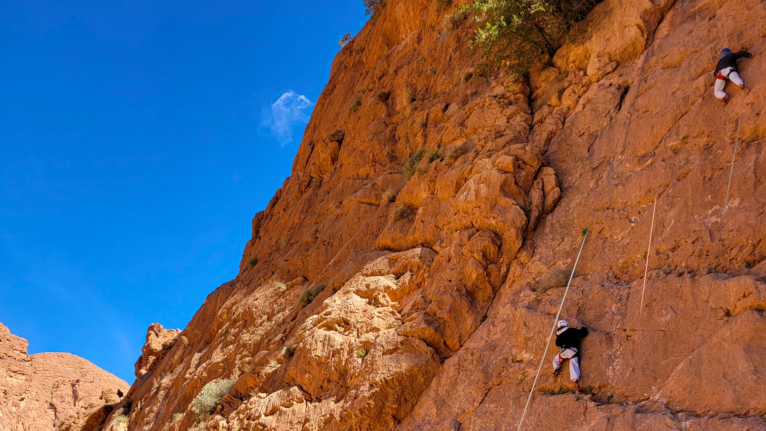 Escalade dans les Gorges du Todra