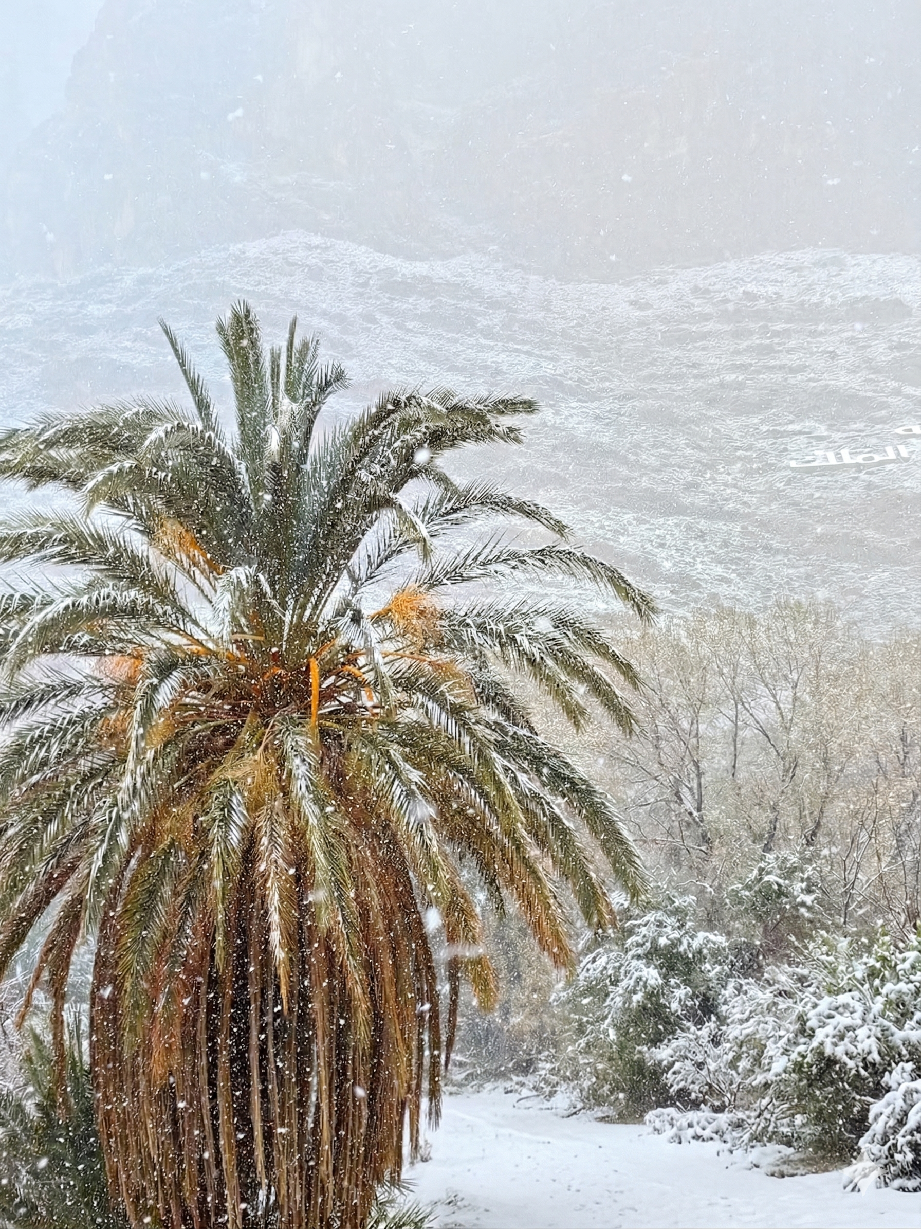 Hiver a Todra Valley, hiking et authentic Moroccan experience